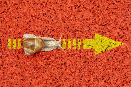 Untätigkeitsklage Symbolfoto für Langsamkeit: eine Schnecke kriecht über einen gelben Pfeil, der auf einem roten Gummiplatzboden aufgemalt ist.