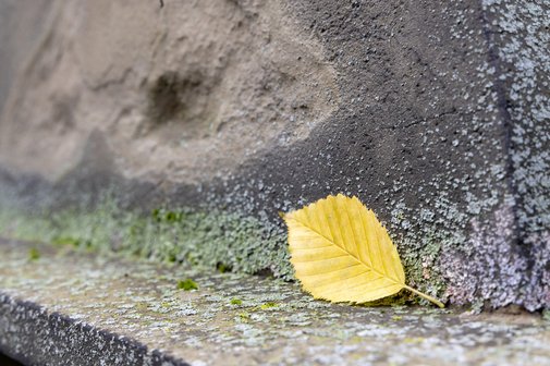 Witwenrente und Witwerrente Ein gelbes Herbstblatt liegt auf einem Grabstein auf dem Hoppenlau-Friedhof in Stuttgart.
