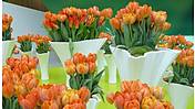 Viele Blumenvasen mit orangefarbenen Tulpen stehen auf einem Tisch.