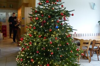 Ein alljährlich schön geschmückter Weihnachtsbaum im Sportheim