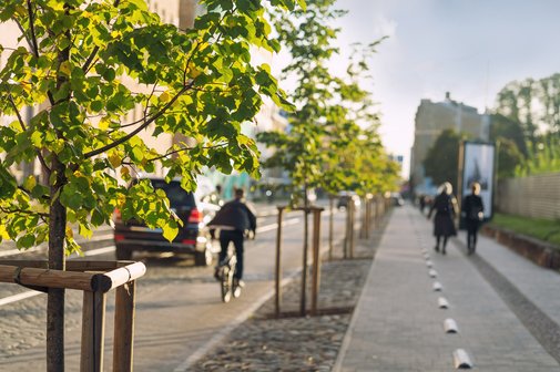Mobilität und Klimaschutz in der Stadt Blick auf eine Straße, gesäumt von Bäumen, links fährt ein Radfahrer, rechts zwei Fußgänger.